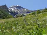 Séjour nature et gastronomie en Oisans dans les Alpes