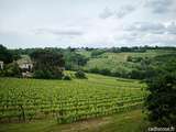 Visite insolite du vignoble bordelais en Cadillac