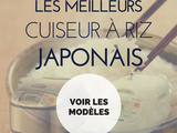 Calligraphie Japonaise : Les Secrets Pour Maîtriser l’art De l’écriture