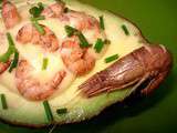 Avocat aux Crevettes Grises