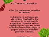 Attention aux feuilles de rhubarbe ! 🚨 Découvrez pourquoi elles sont dangereuses pour votre santé