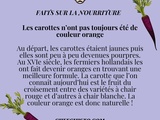 Carottes n'ont pas toujours été oranges ! Découvrez leur véritable couleur d'origine. 🥕