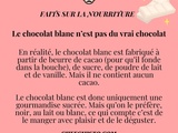 Doux et onctueux : le chocolat blanc comme vous ne l'avez jamais vu ! 🤤