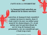 Passé surprenant du homard