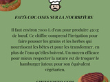 Saviez-vous qu'il faut 7000 l d'eau pour produire juste 450 g de bœuf ? Découvrez des alternatives plus durables ! 🍔💧