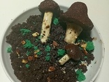 Cuisine - Champignons tout chocolat par Didier de Winne