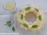 Terrine de pamplemousse menthe