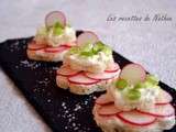 Petits toasts au fromage blanc et radis