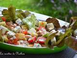 Salade  feuilles de chêne  rouge (du jardin) au poulet et gorgonzola