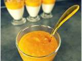 Mousse au fromage blanc et coulis de mangue – dessert léger