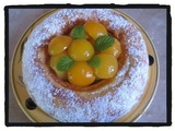 Gâteau aux abricots et fromage blanc