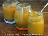 Confiture anti gaspi au thermomix