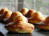 Madeleines parfaites