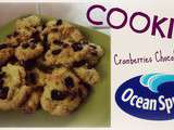 Cookies Cranberries & Chocolat Blanc