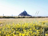 Que faire au Mont-Saint-Michel et alentours ? Tout se joue au rythme des marées