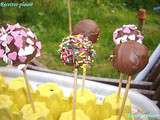 Cake Pops