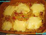 Gratin de macaronis tomates, thon et mozzarella