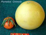 Pomelos Chinois