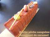 Bûche pêche sanguine craquant de caramel