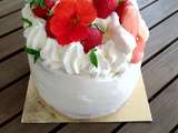 Layer curd citron chantilly fraise