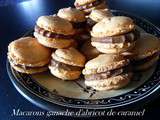 Macaron ganache d'abricot de caramel