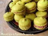 Macarons a l'amande amère