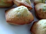 Madeleines a la pistache