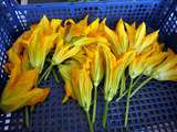 Beignets de fleurs de courgettes