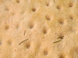 Foccacia aux pois chiches
