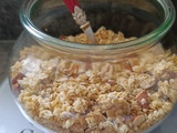 Granola facile