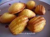 Madeleines hyper moelleuses à la vanille et au chocolat