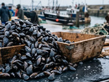 Comment nettoyer et cuire 2 kg de moules sans en perdre la moitié