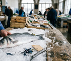 Comment reconnaître un vrai poisson sauvage de Bretagne sur l’étiquette