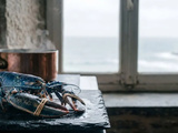 Comment tuer et cuire un homard bleu breton sans le faire souffrir ni le sur-cuire