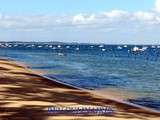 Bassin d'Arcachon et les plages océanes