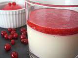 Panna cotta au coulis de groseilles