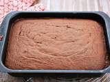 Gâteau de base au chocolat pour un moule rectangle de format A4