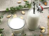 Lait d'amande maison: est-ce facile à faire, intéressant financièrement ? {recette} #zerodechet #faitmaison