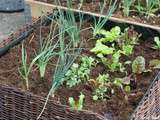 {On apprend à faire } Un potager en carré et un poulailler au bhv