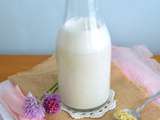 Lait de chanvre maison