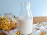 Lait de noix de cajou maison