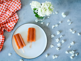 Glaces à l’eau facile ! [Pomme-carotte-fraise}