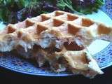 Gaufre feuilleté au saumon