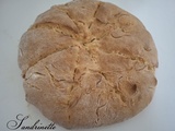 Damper (Australie)