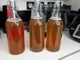 Kombucha