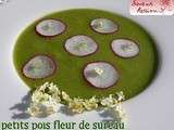 Soupe froide de petit pois, radis, fleur de sureau