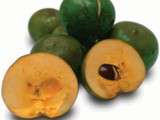 Lucuma