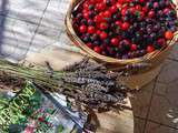 Se promener, ramasser, préparer de la confiture de Mirabelles et finir à la lumière de la bougie