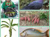 Bougna plat traditionnel mélanésien (poulet banane tarot igname lait de coco)