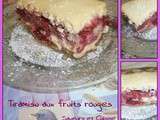 Tiramisu aux fruits rouges ... Original et frais